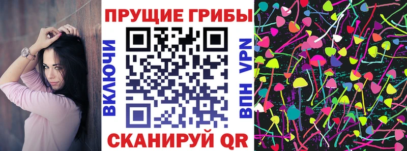 Галлюциногенные грибы мицелий  где купить   Сольвычегодск 
